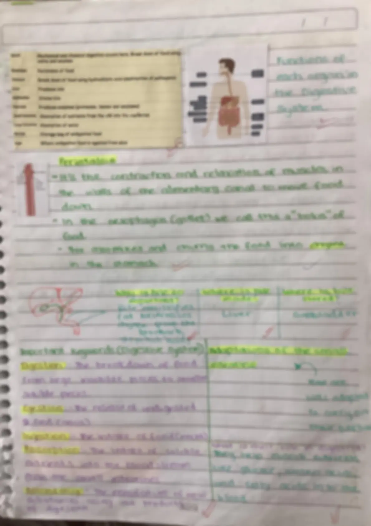 pf3