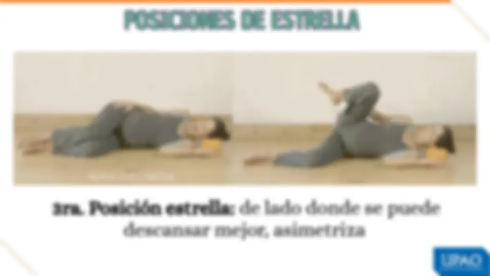 pf13