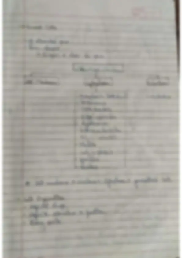 pf5