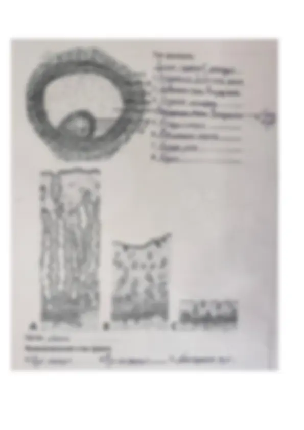 pf5