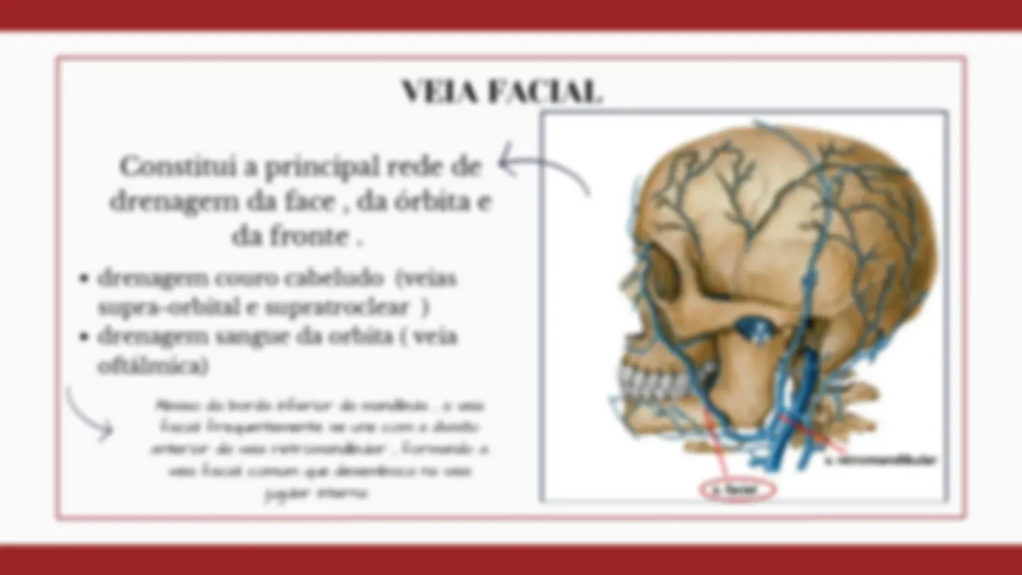 pfa