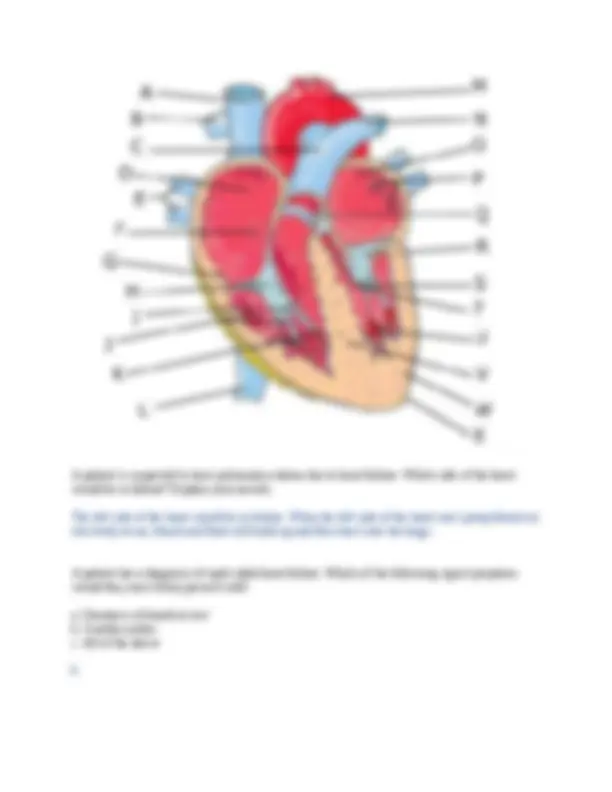 BIOD 152 Anatomy & Physiology 2 Final Exam (2 Versions) (2026/2027) PDF ...