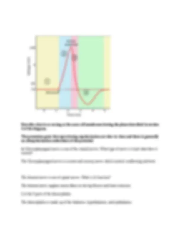 BIOD 152 Anatomy & Physiology 2 Final Exam (2 Versions) (2026/2027) PDF ...
