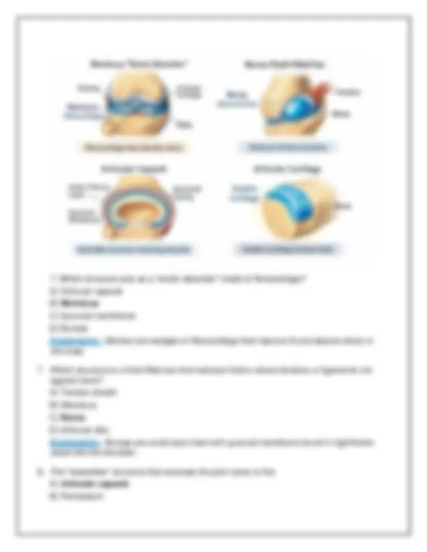 Biol251 Human Anatomy & Physiology I W/Lab 2026 | Module 4 Exam Review ...