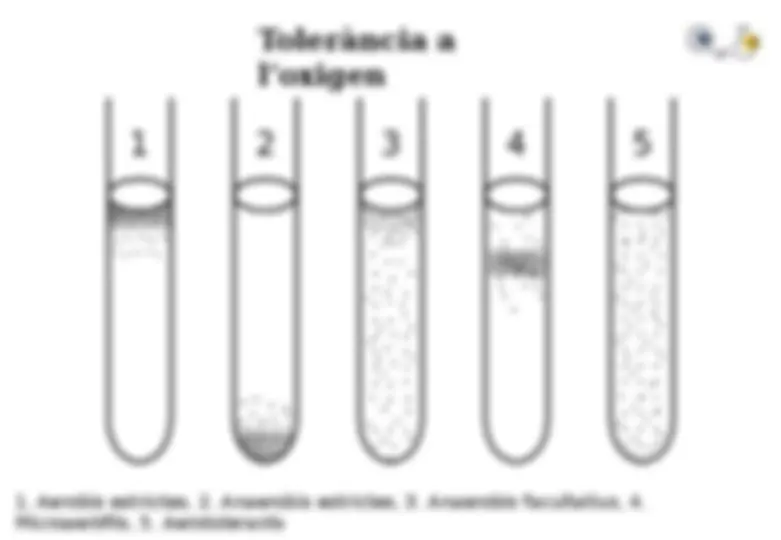 pf1a
