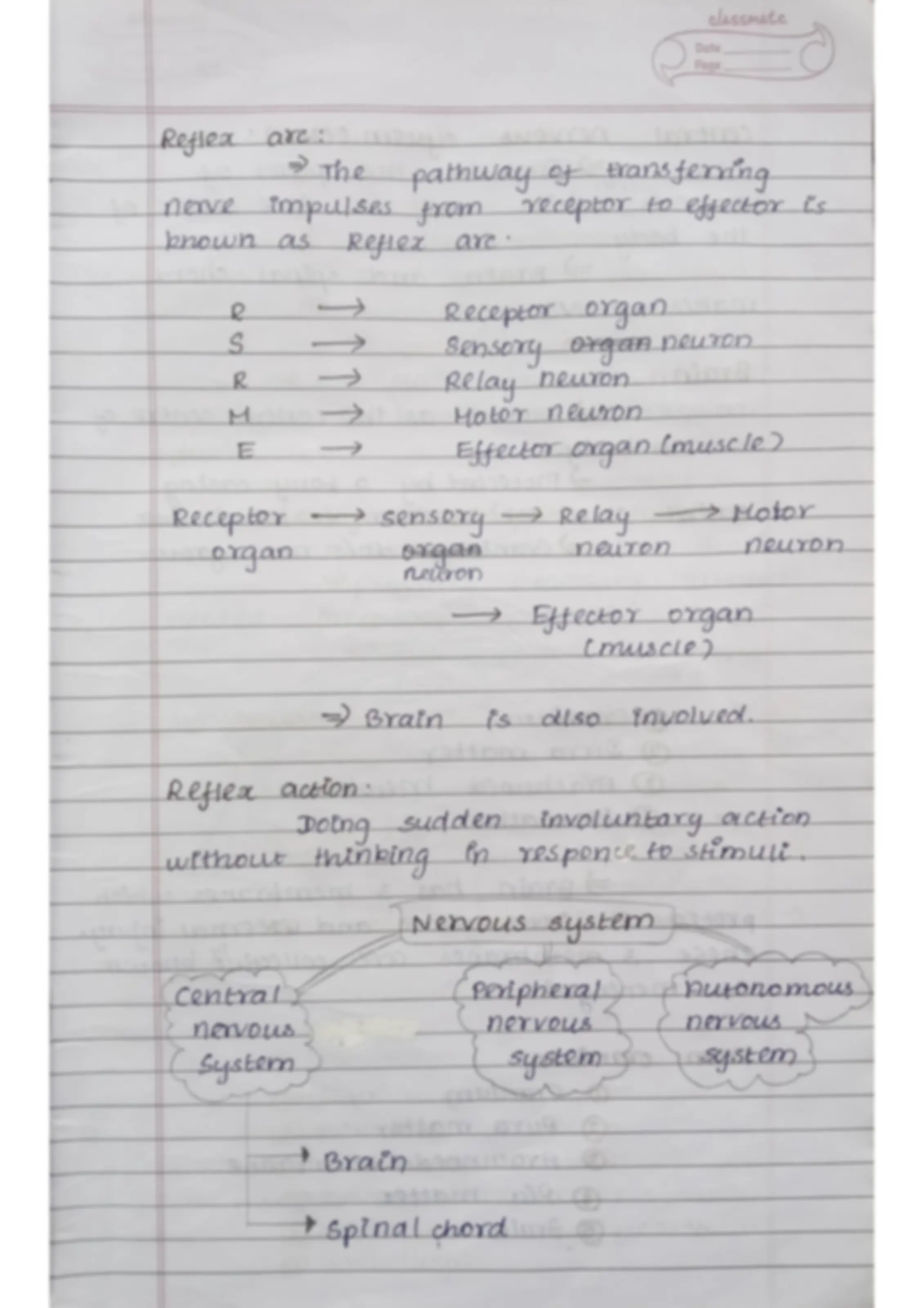 pf5