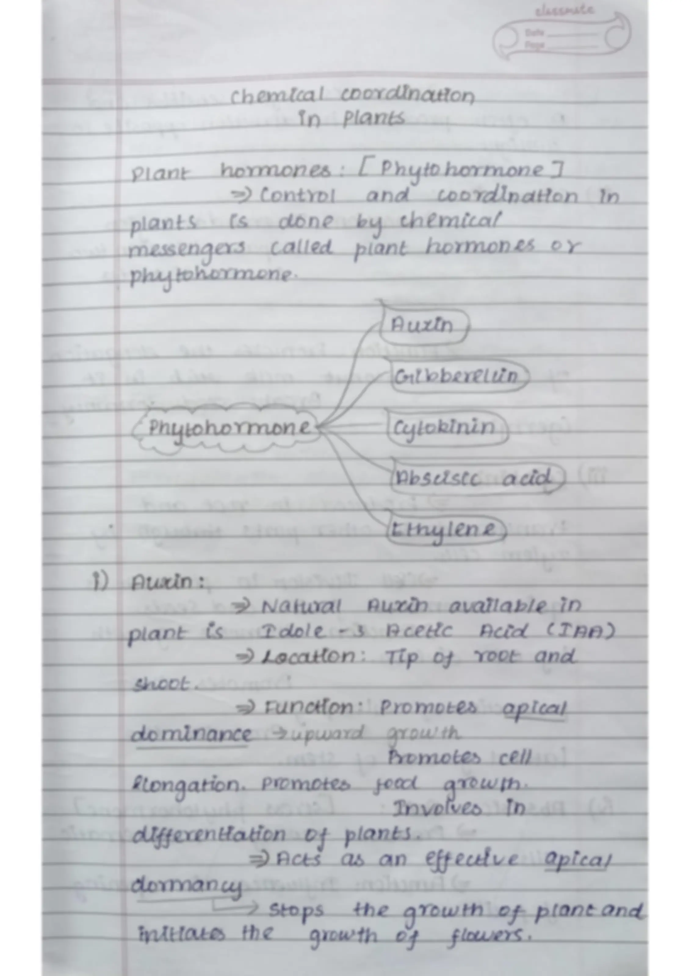 pf19