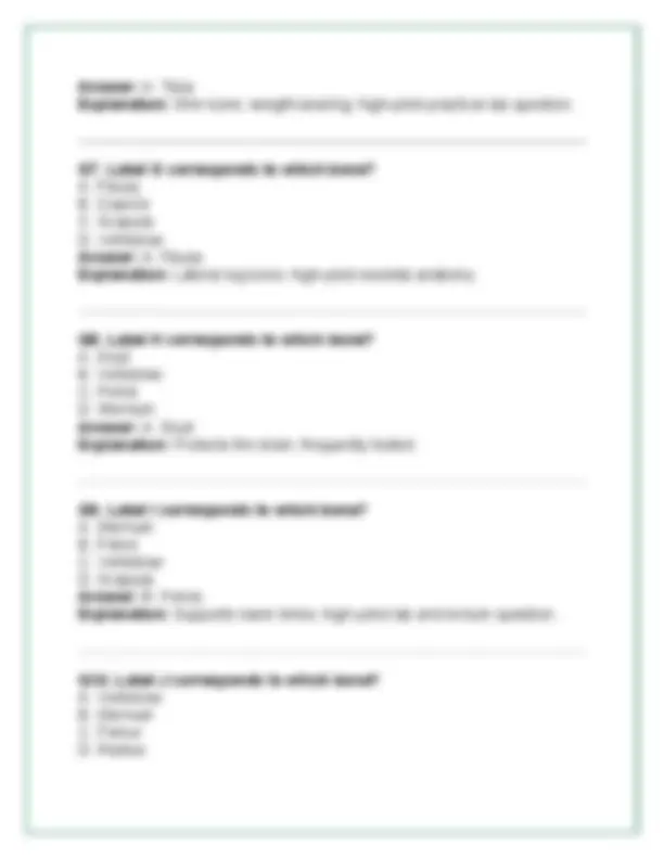 BIOL251 – Human Anatomy & Physiology I w/ Lab (2026) | Module 3 Exam 90 ...