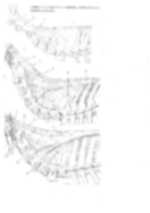pf5