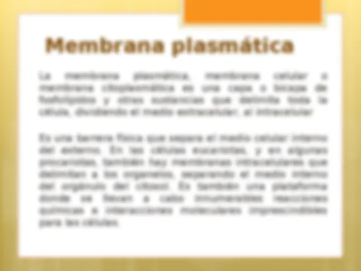 pf19