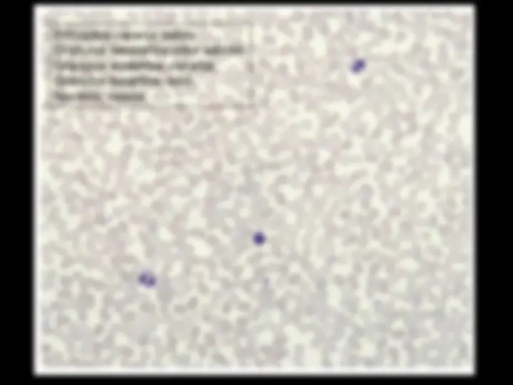pf8