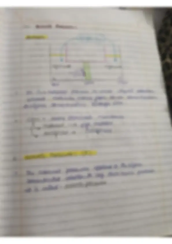 pf1b