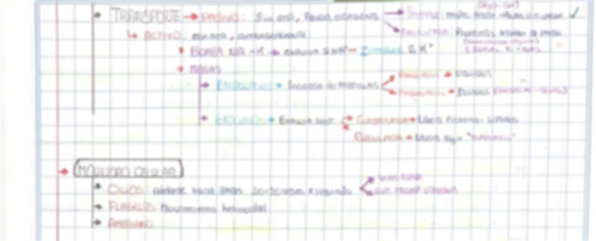 pf3