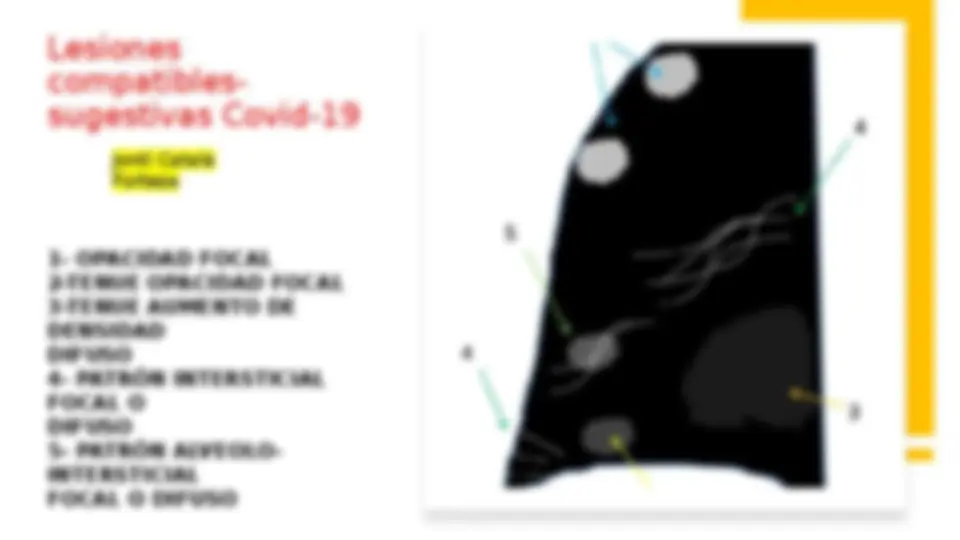 pf19