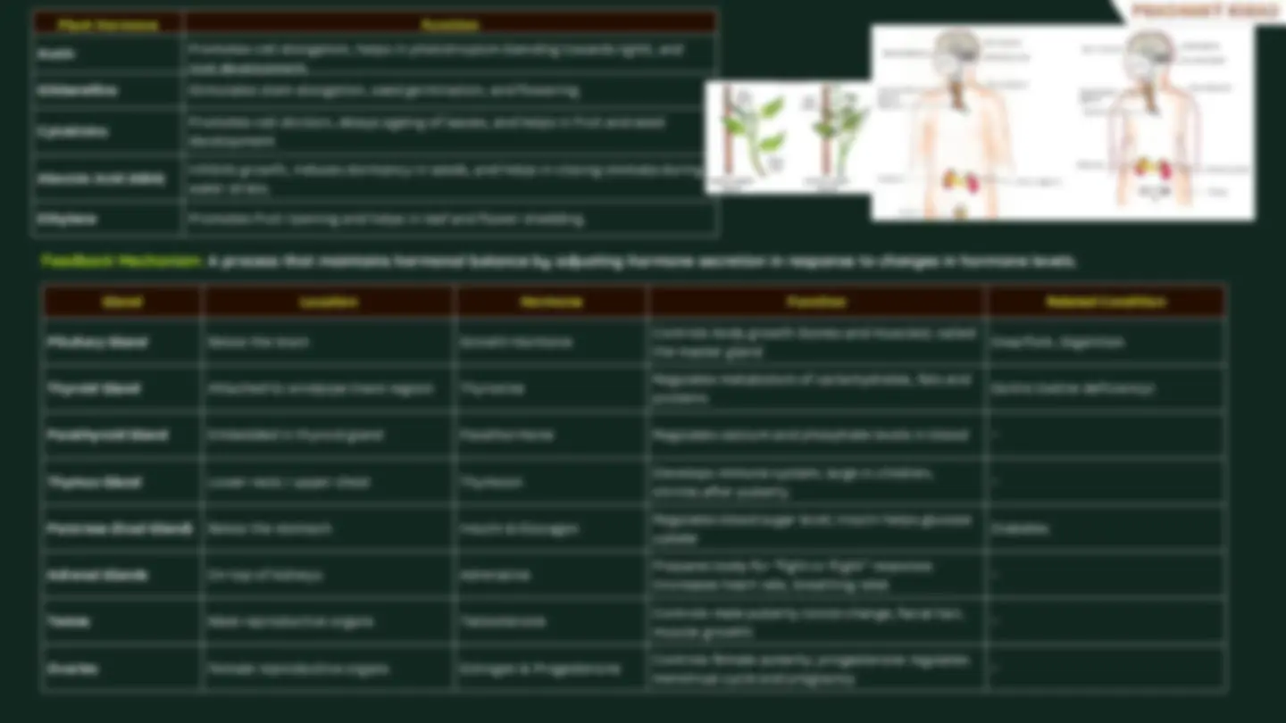 “Ultimate [Science] Notes – Clear, Concise & Exam-Ready” | Cheat Sheet ...