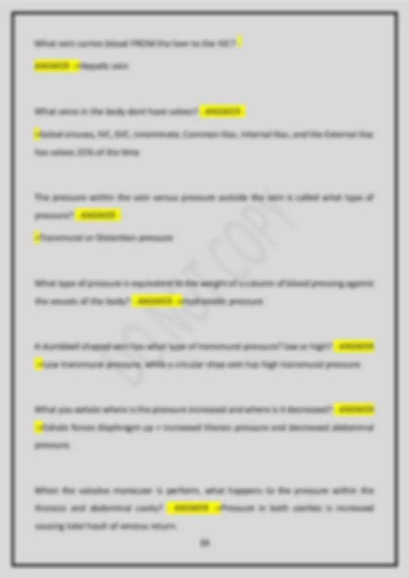 Ardms Credentials Tag Rvt LATEST VERSION UPDATED AND REVISED ARDMS (RVT) ULTRASOUND VASCULAR ...