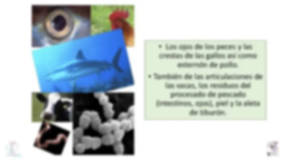 pff
