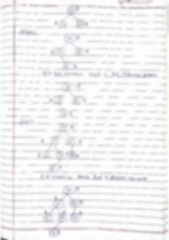 pf24