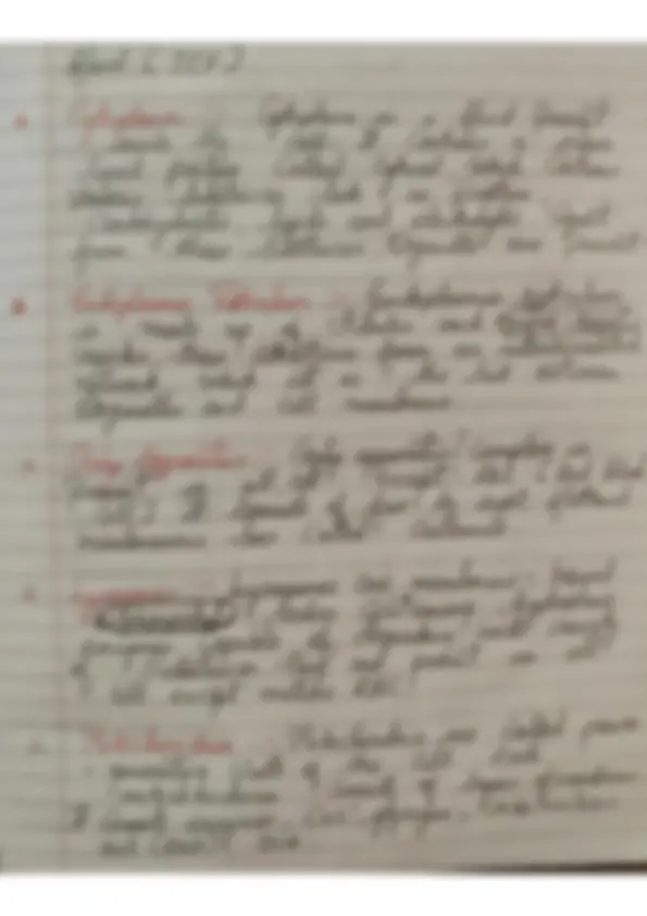 pf3