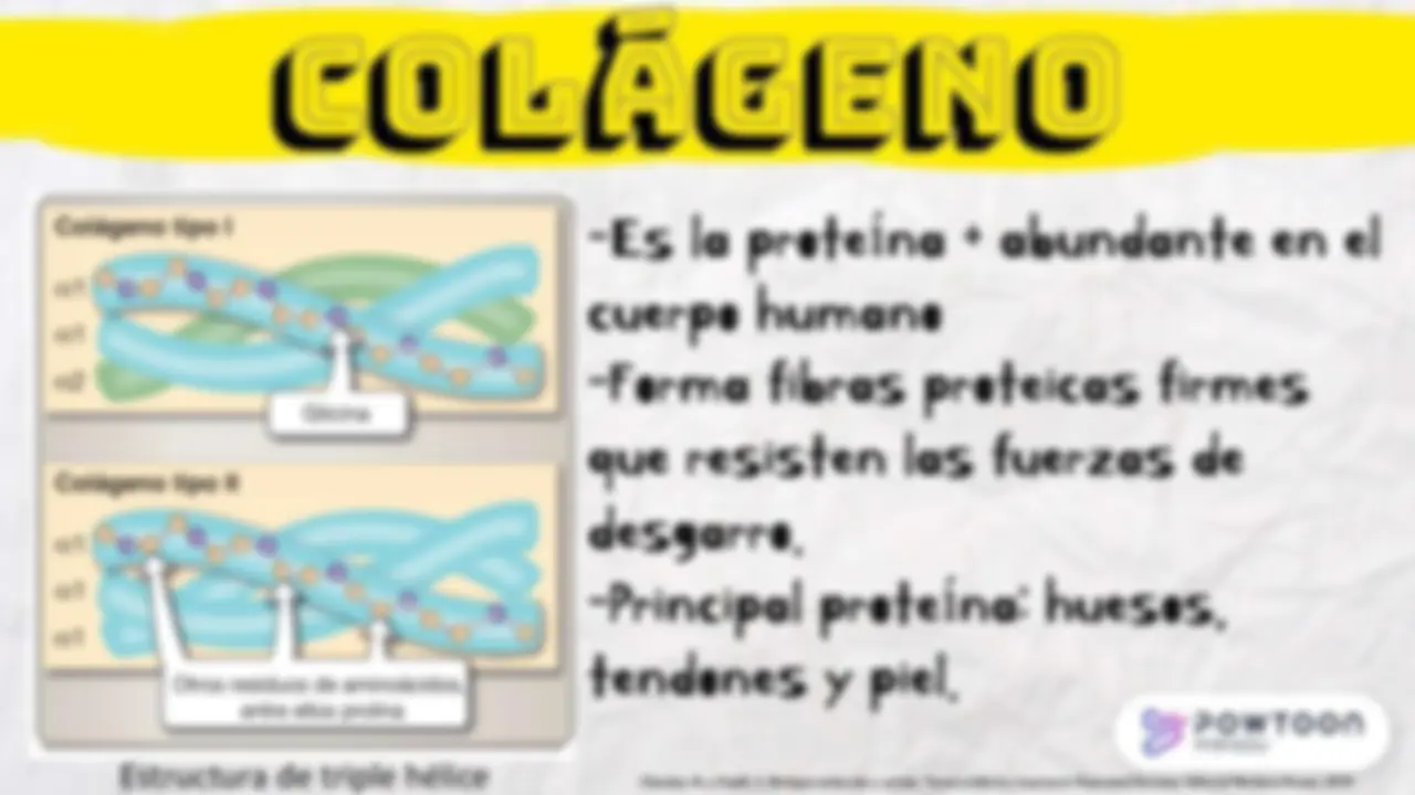 pf16