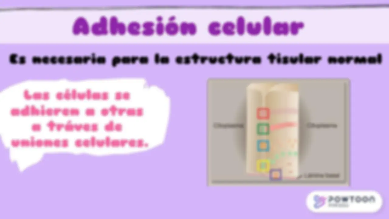pf2e
