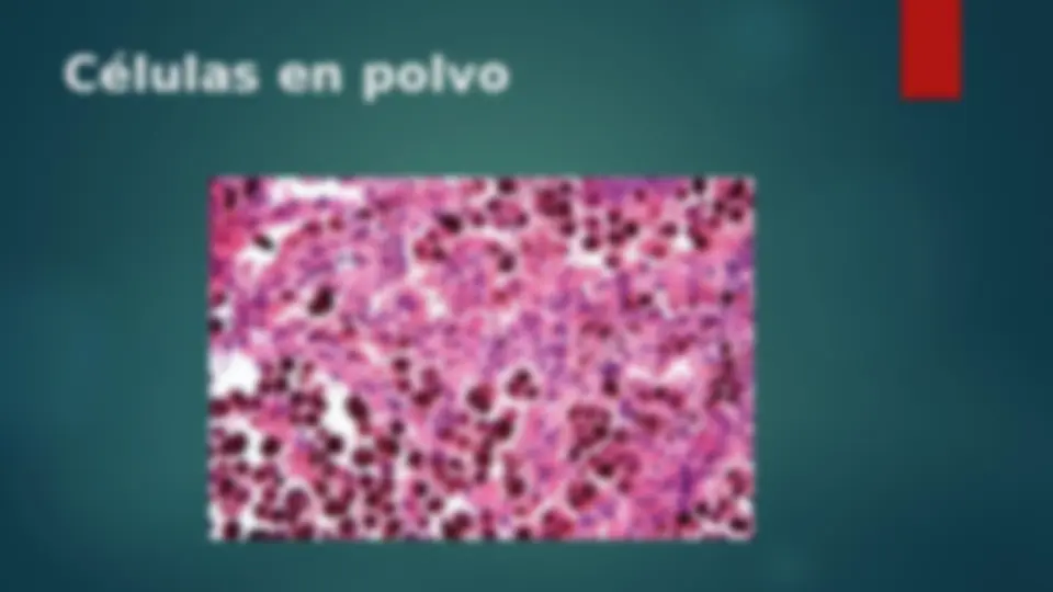 pf5