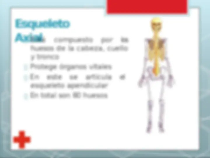 pf5