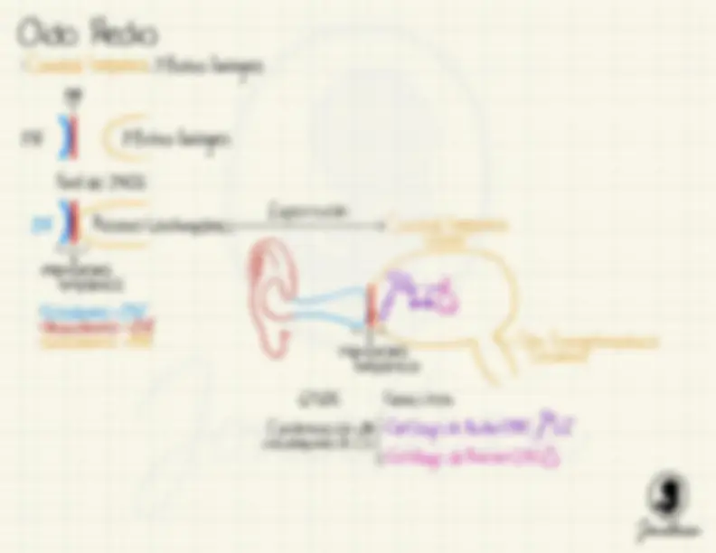 pf3