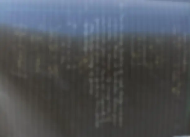 pf1e