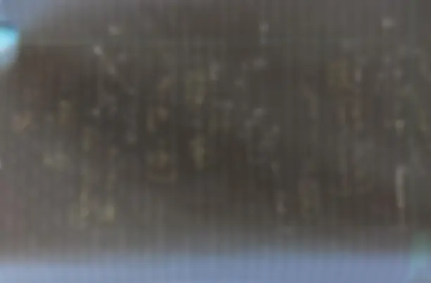 pf23