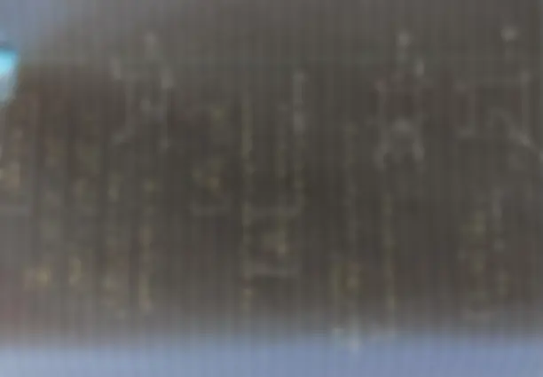 pf25