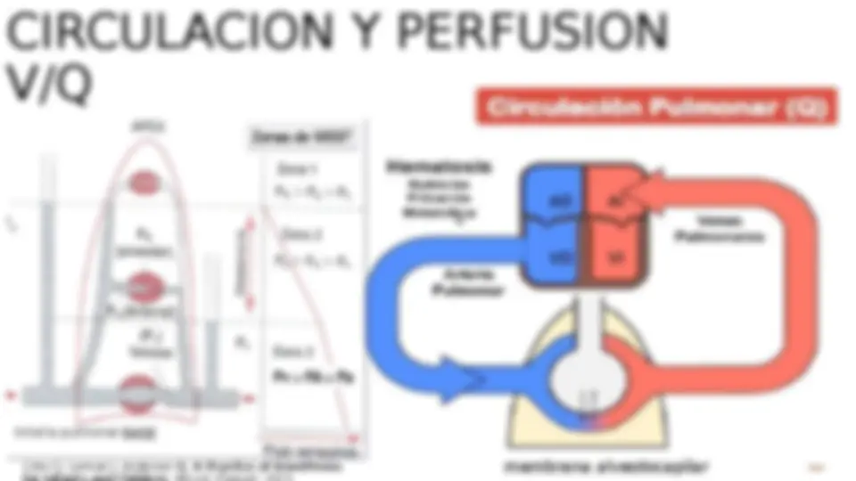 pf3f