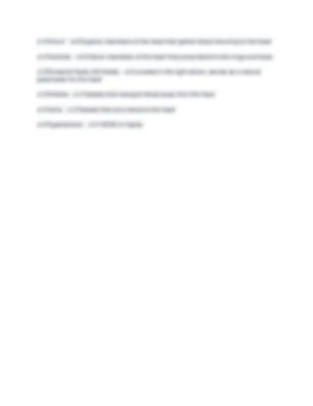 NASM CPT MAIN EXAMS MANUAL 2026/2027 QUESTIONS AND SOLUTIONS RATED A+ ...