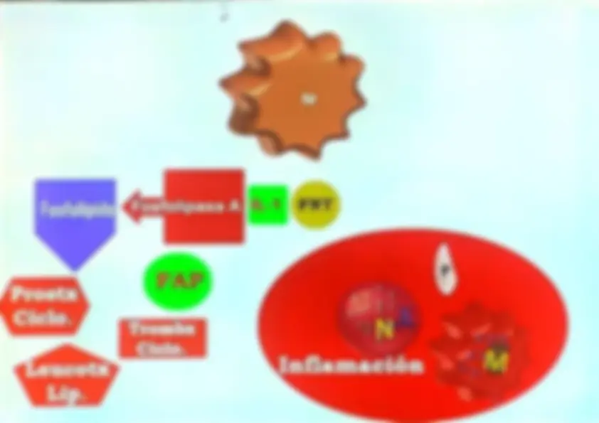 pf32