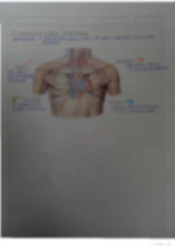 pf5