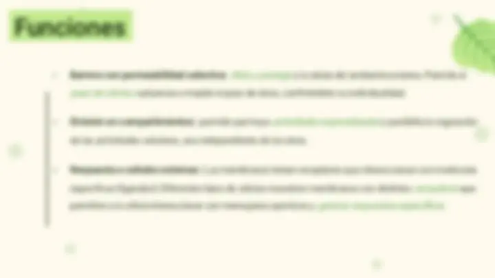 pfe