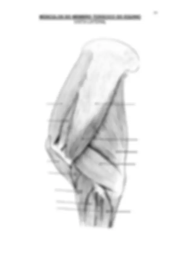pf39