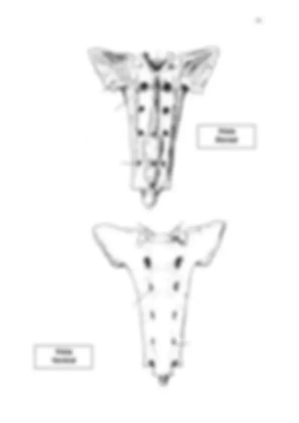 pf23
