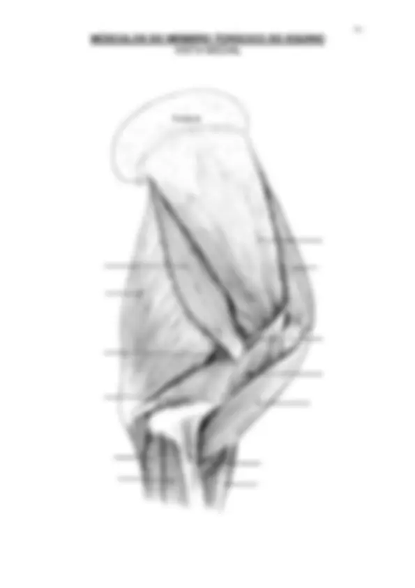 pf3a