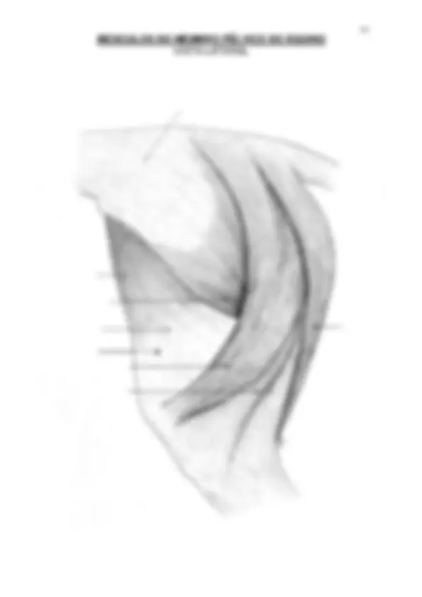 pf3d
