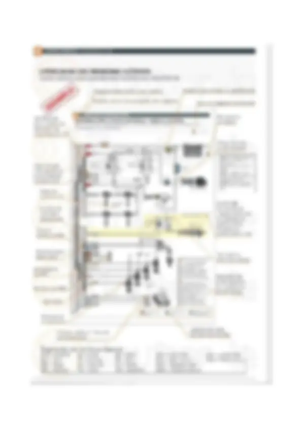 pf18