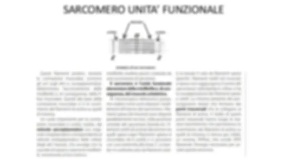 pf14