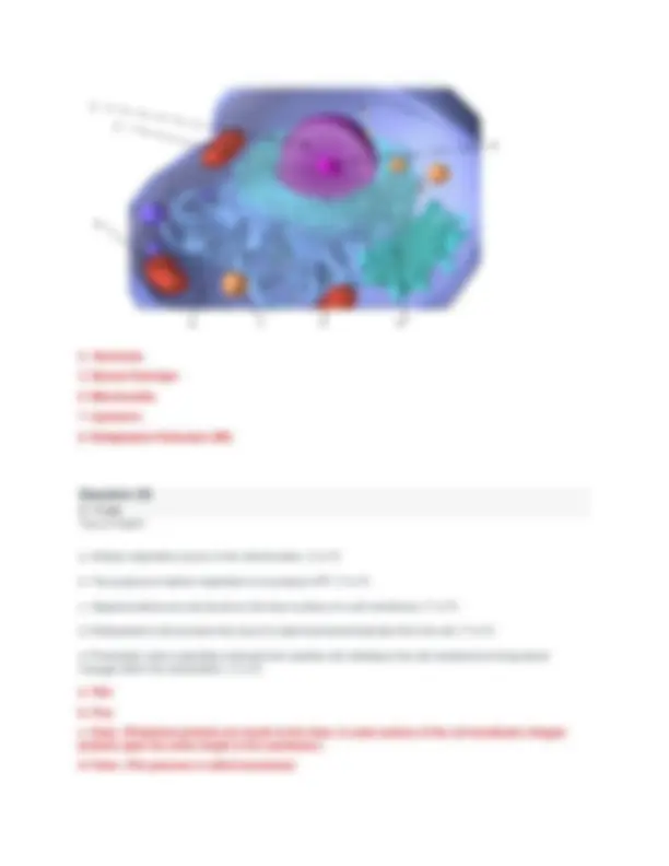 A P 1 101 Module 1 Exam Questions Answers Updated 2026 Portage