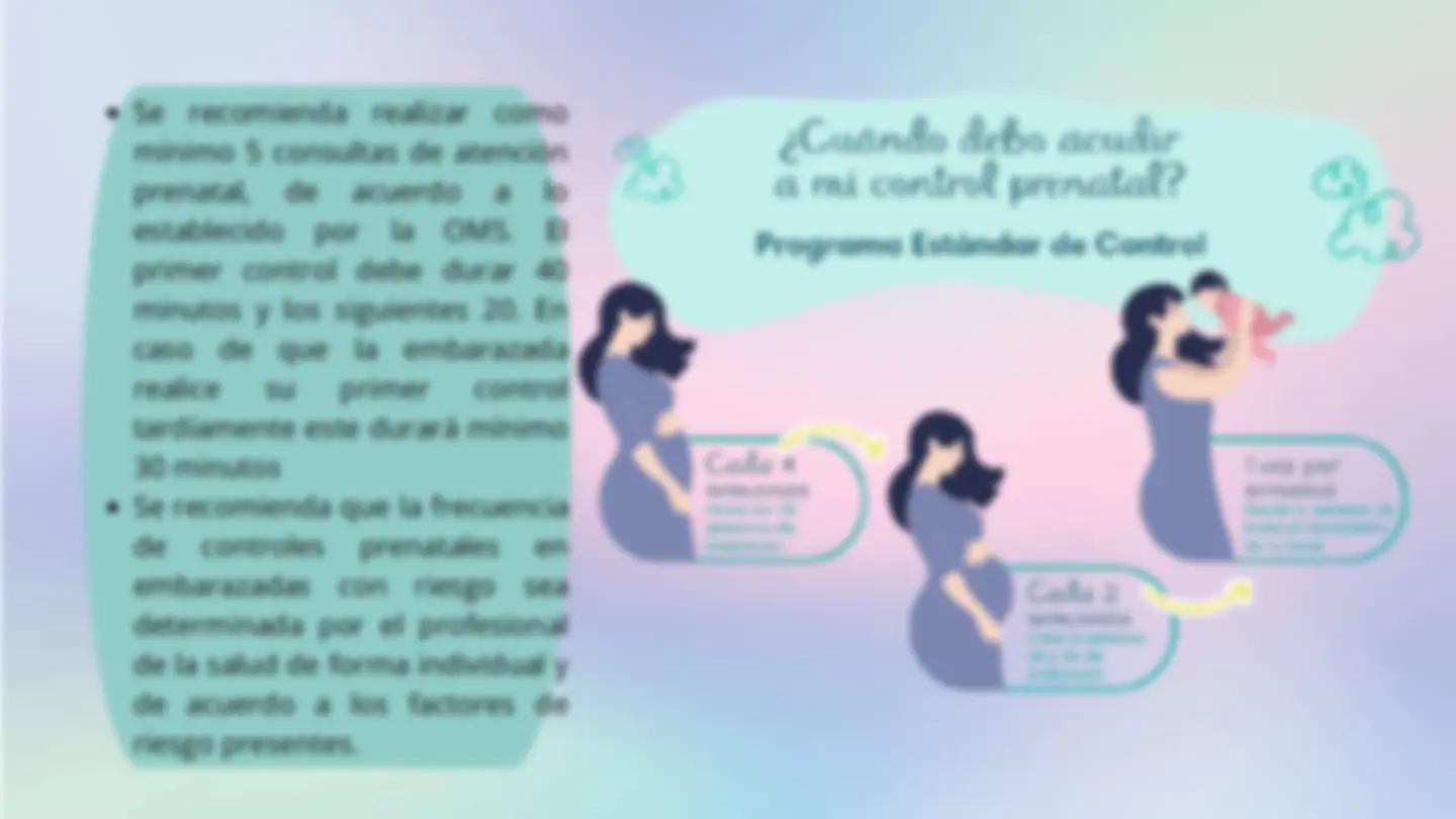 pf24