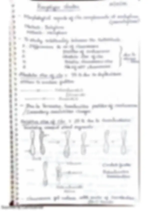 pf42