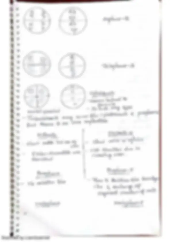 pf34