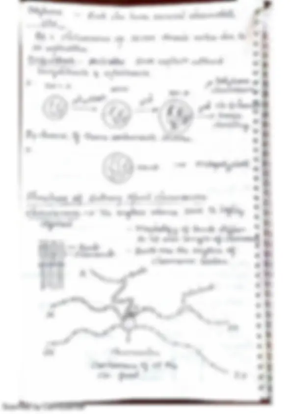 pf1b
