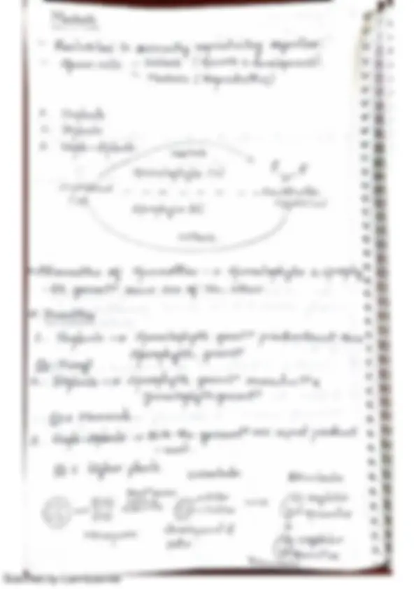 pf29