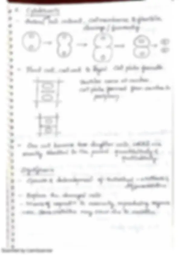 pf28