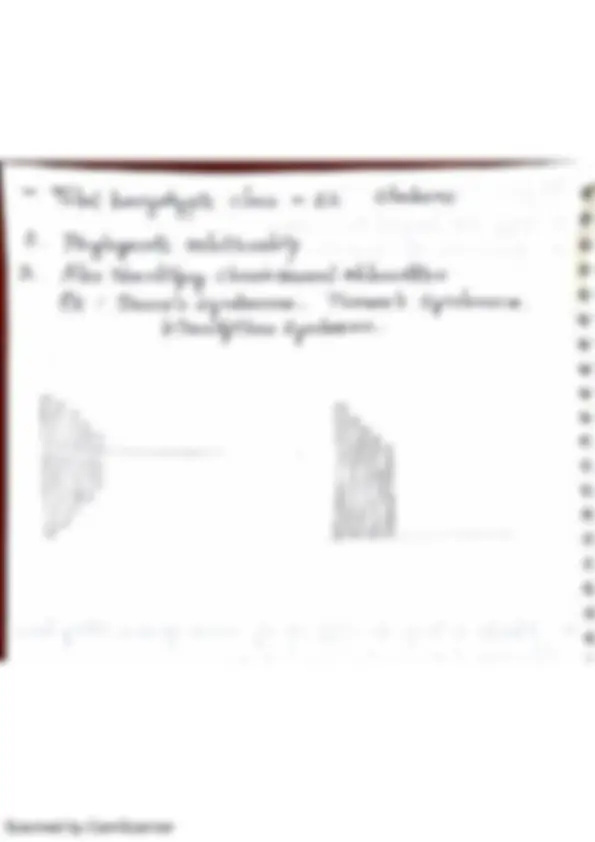pf45